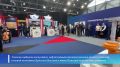 Сахалин принял сразу два международных форума: «Энергия Сахалина» и «Острова устойчивого развития: климат и экология» («Острова роста»)