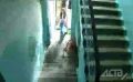 Уголовное дело по факту нападения на несовершеннолетнюю в Южно-Сахалинске возбудили следователи