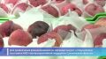 Гарантийная поддержка помогла предпринимателю построить многофункциональный комплекс на Сахалине