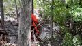 На Сахалине спасатели МЧС России обследовали обширную лесную зону, где пропали два человека