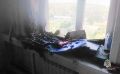 "Выбиты окна, повреждена комната": два газовых баллончика хлопнули в квартире в Троицком