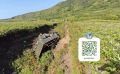 Пассажир погиб на месте: подробности и фото смертельного ДТП на Курилах