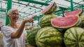Арбуз и дыня: как есть бахчевые без вреда для здоровья