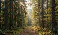В Южно-Сахалинске 5 сентября: сухо и до +25°