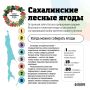 Когда сахалинцам можно собирать ягоды?