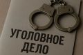 Ударила по ребрам: сахалинка подозревается в нападении на полицейского