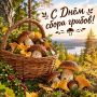 Сегодня отмечается по-настоящему народный праздник — День сбора грибов!