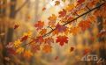 На Сахалине дожди и потепление до +19 °C, а на Курилах переменная облачность: прогноз погоды для региона на 10 сентября