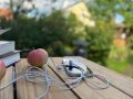 МТС запустила LTE-сеть в районе лососевого рыбоводного завода в Урожайном