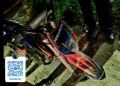 Уголовное дело завели на женщину, передавшую питбайк 14-летнему сыну