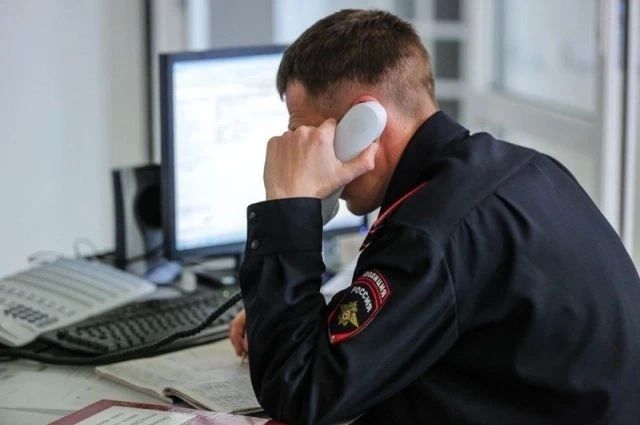 Мертвые собаки: полиция Сахалина проверят приют для животных