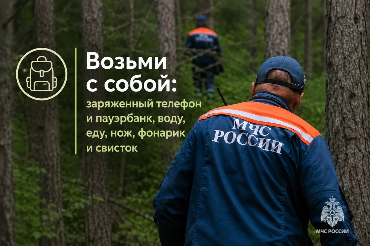 Безопасный поход в лес. В карточках МЧС России ты найдешь полезные советы, которые нужно знать до похода в лес Безопасный поход в лес. В карточках МЧС России ты найдешь полезные советы, которые нужно знать до похода в лес