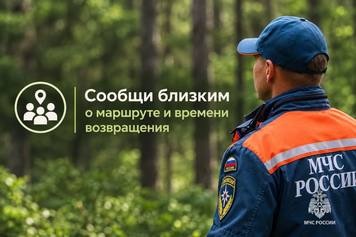 Безопасный поход в лес. В карточках МЧС России ты найдешь полезные советы, которые нужно знать до похода в лес Безопасный поход в лес. В карточках МЧС России ты найдешь полезные советы, которые нужно знать до похода в лес
