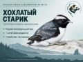 Красная книга Сахалинской области