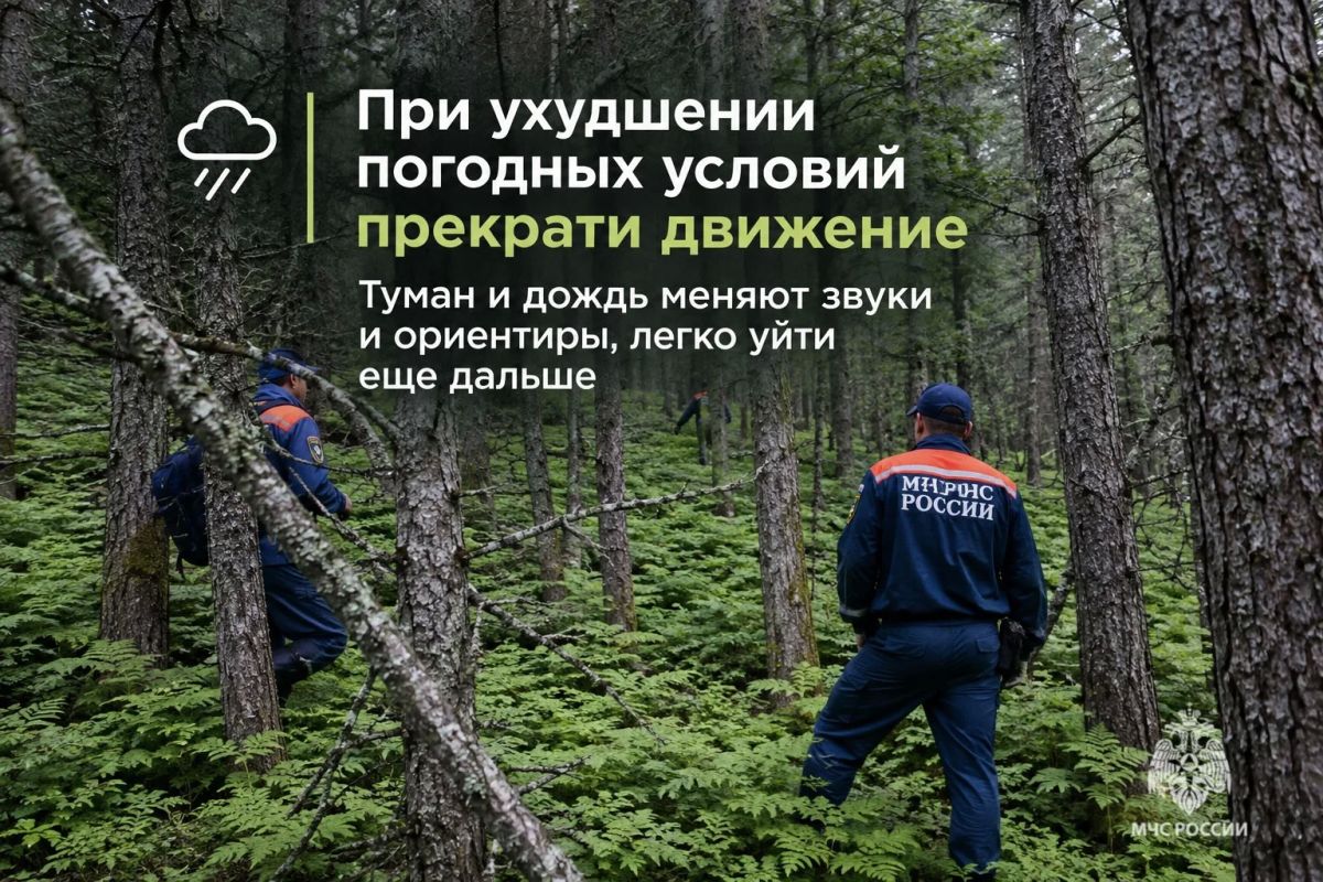 Безопасный поход в лес. В карточках МЧС России ты найдешь полезные советы, которые нужно знать до похода в лес Безопасный поход в лес. В карточках МЧС России ты найдешь полезные советы, которые нужно знать до похода в лес