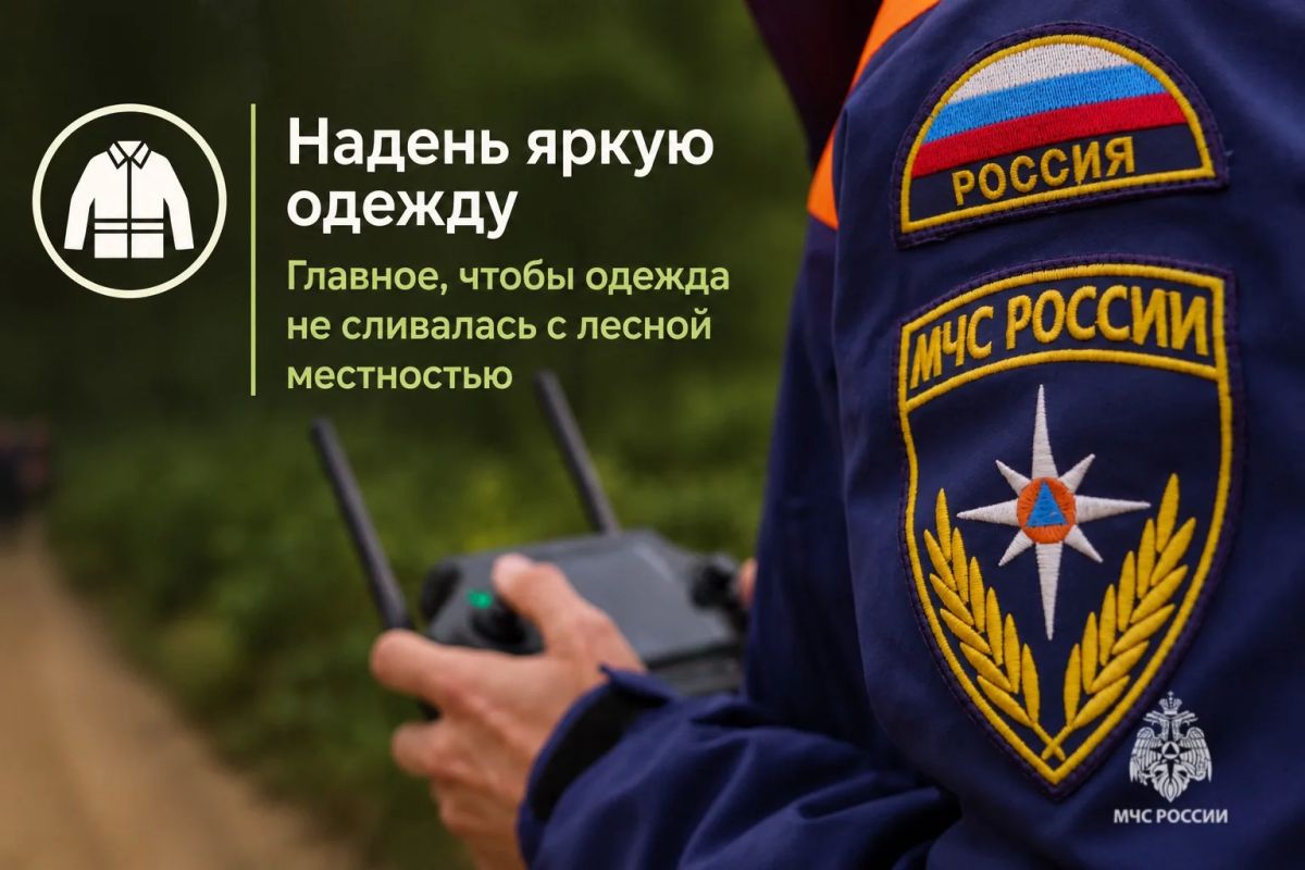 Безопасный поход в лес. В карточках МЧС России ты найдешь полезные советы, которые нужно знать до похода в лес Безопасный поход в лес. В карточках МЧС России ты найдешь полезные советы, которые нужно знать до похода в лес