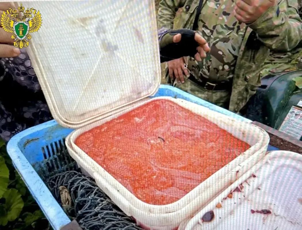В Сахалинской области прокуратура направила в суд уголовное дело о незаконной добыче водных биологических ресурсов на сумму свыше 2 млн рублей В Сахалинской области прокуратура направила в суд уголовное дело о незаконной добыче водных биологических ресурсов на сумму свыше 2 млн рублей