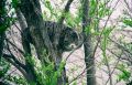 С добрым утром!. Фото Антона Самолюка