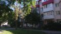 Сегодня островитяне голосуют и на дому