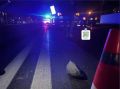 В больнице скончался мужчина, которого сбила машина в Южно-Сахалинске На проспекте Мира, у дома №8, 73-летний сахалинец пересекал проезжую часть по нерегулируемому переходу. К проезжей части он подошёл в четверг около девяти...
