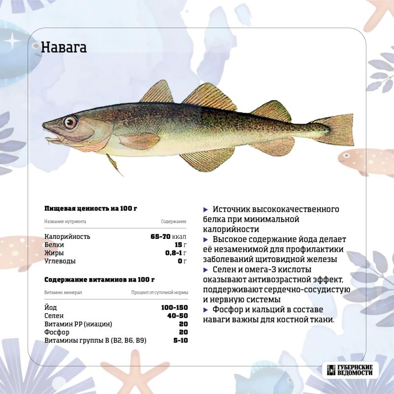 Морская сила на вашей тарелке: какую рыбу выбрать? Морская сила на вашей тарелке: какую рыбу выбрать?