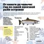Морская сила на вашей тарелке: какую рыбу выбрать?