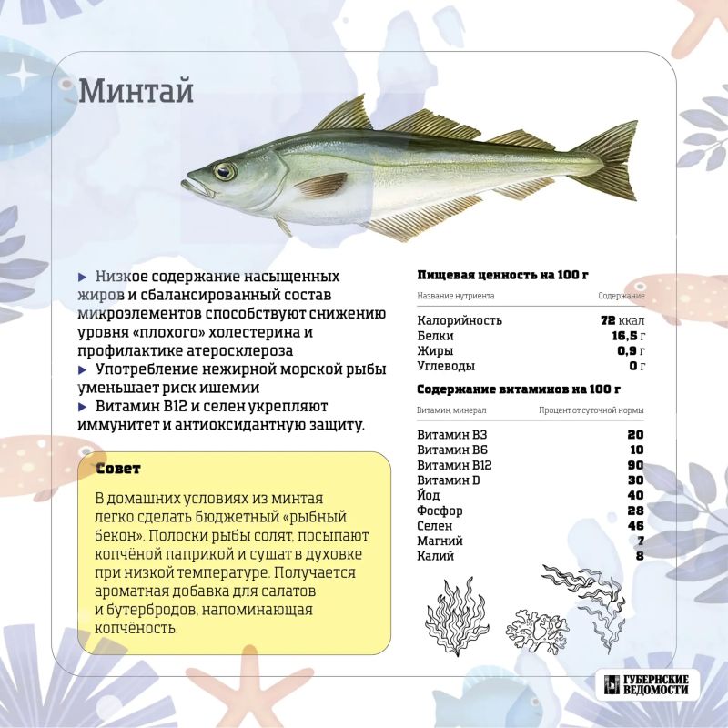 Морская сила на вашей тарелке: какую рыбу выбрать? Морская сила на вашей тарелке: какую рыбу выбрать?