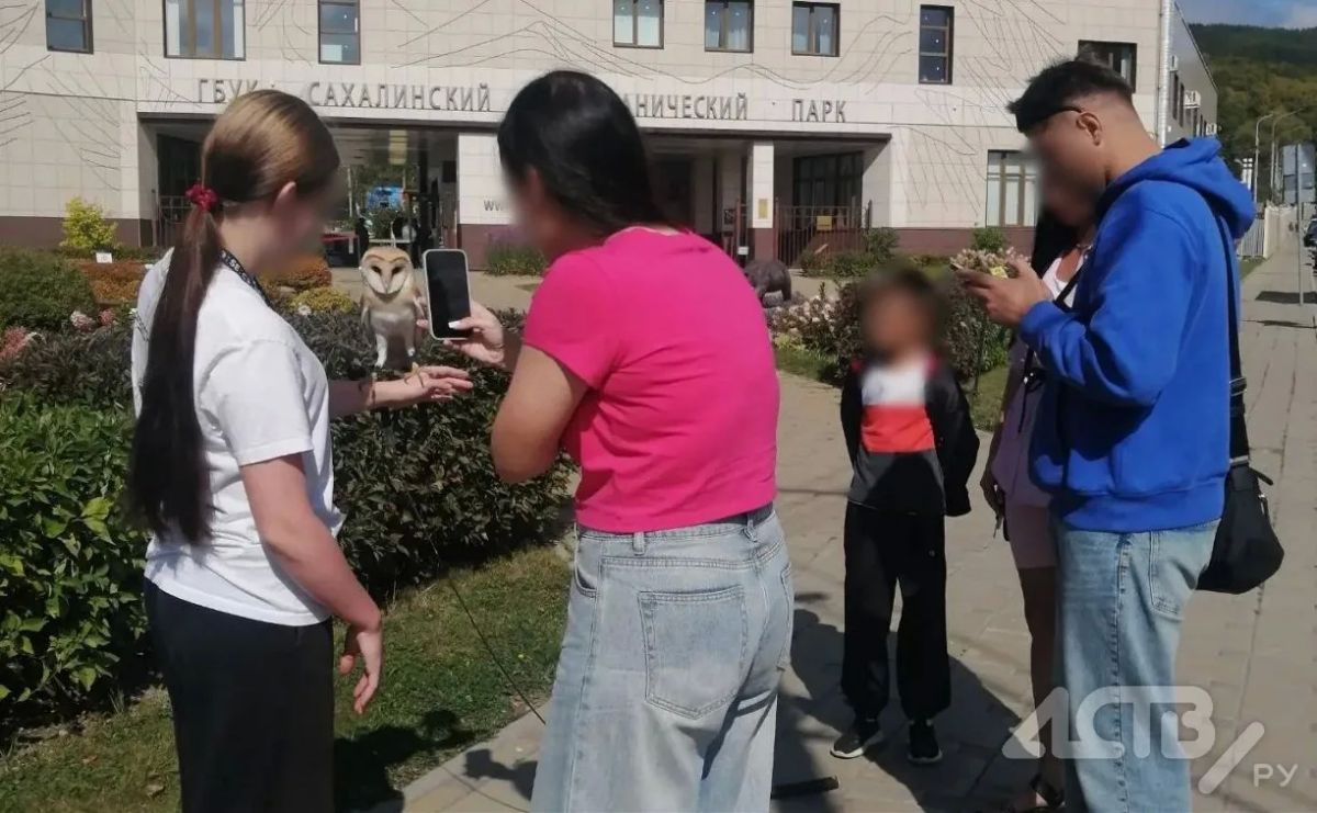 Южносахалинцы просят спасти несчастных сов, которых используют для фотосессий в парке