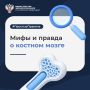 Мифы и правда о костном мозге