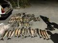 В Долинске полицейскими выявлен факт незаконной добычи водно- биологических ресурсов