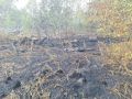 В Анивском районе горела трава на площади 1 гектар