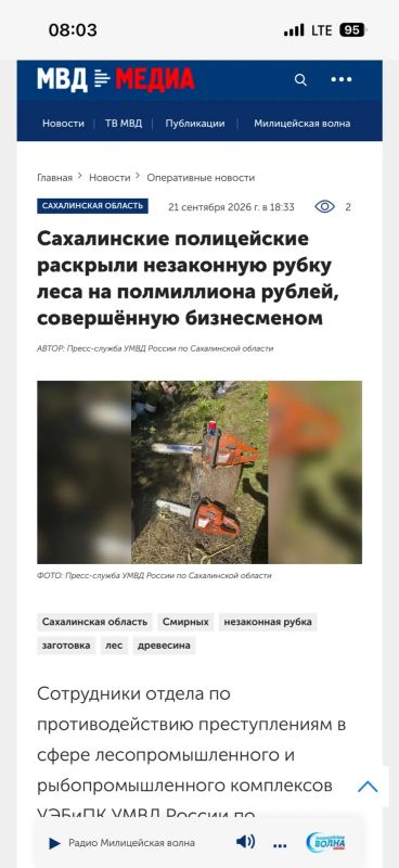 Сахалинские полицейские раскрыли незаконную рубку леса на полмиллиона рублей, совершённую бизнесменом Сахалинские полицейские раскрыли незаконную рубку леса на полмиллиона рублей, совершённую бизнесменом