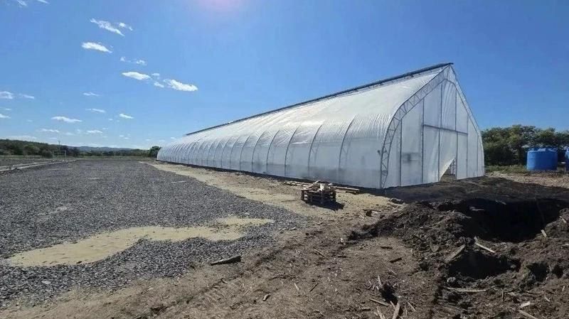 На Сахалине строят теплицу на 550 тысяч саженцев для лесовосстановления