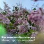 Написать обращение в Минэкологии очень просто