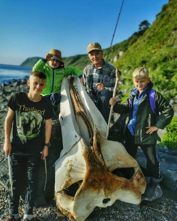 Сахалинка нашла на берегу моря огромные кости неопознанного животного Сахалинка нашла на берегу моря огромные кости неопознанного животного