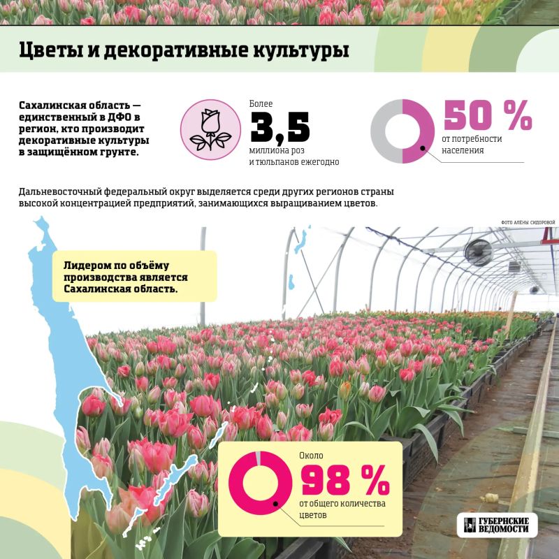 Что выращивают и производят у нас в регионе? Что выращивают и производят у нас в регионе?