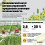 Что выращивают и производят у нас в регионе?