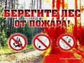 С начала пожароопасного сезона на территории лесного фонда Сахалинской области зарегистрировано 24 лесных пожара