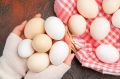 Приобрести продукцию "Птицефабрики "Островная" сегодня можно в двух планировочных районах