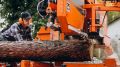 В Южно-Сахалинске озеленитель «заработал» 250 тысяч рублей на фиктивном госконтракте