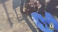 На Сахалине задержали курьера мошенников, укравших у пенсионеров 3,5 млн рублей