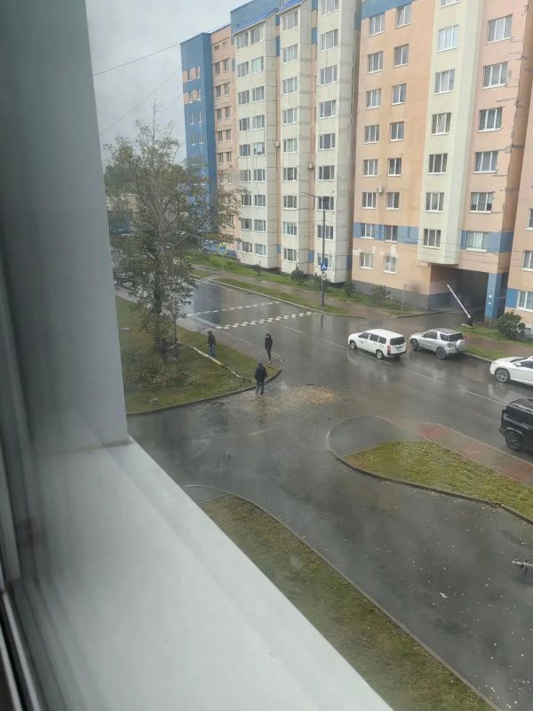 Непогода в Южно-Сахалинске: ветер свалил дерево на проезжую часть Непогода в Южно-Сахалинске: ветер свалил дерево на проезжую часть