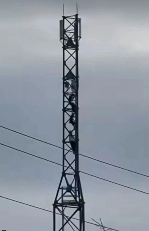 Полиция проводит проверку по факту видео с подростками, забравшимися на высоту