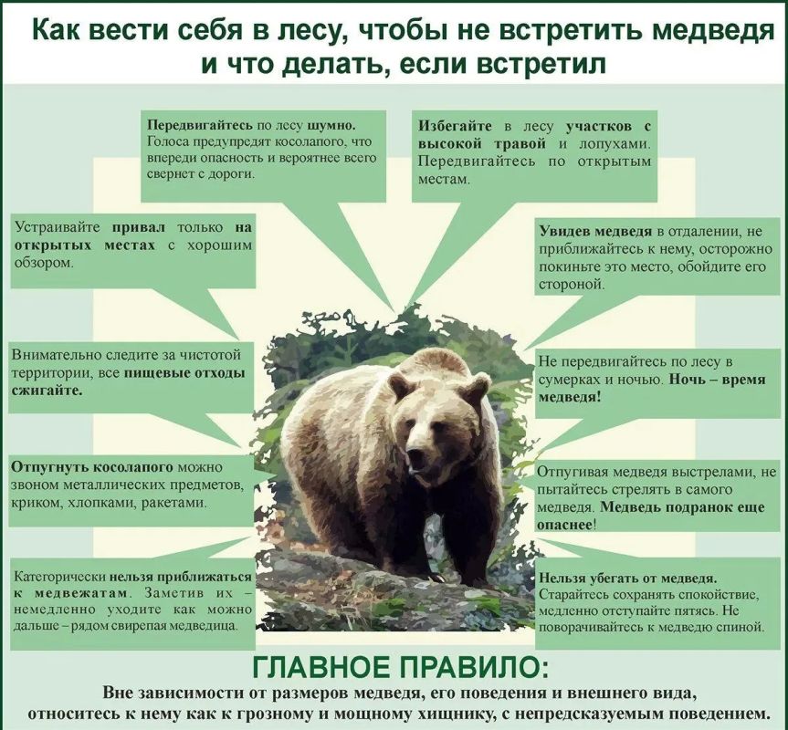 Жителям и гостям Сахалинской области напоминают о мерах предосторожности на природе