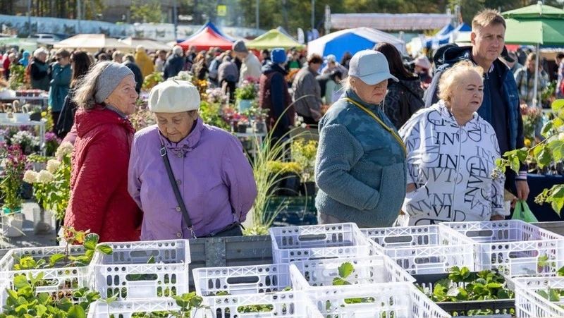 «Свое. Родное. Островное - 2026»: агрофестиваль в Южно-Сахалинске посетили сотни горожан «Свое. Родное. Островное - 2026»: агрофестиваль в Южно-Сахалинске посетили сотни горожан