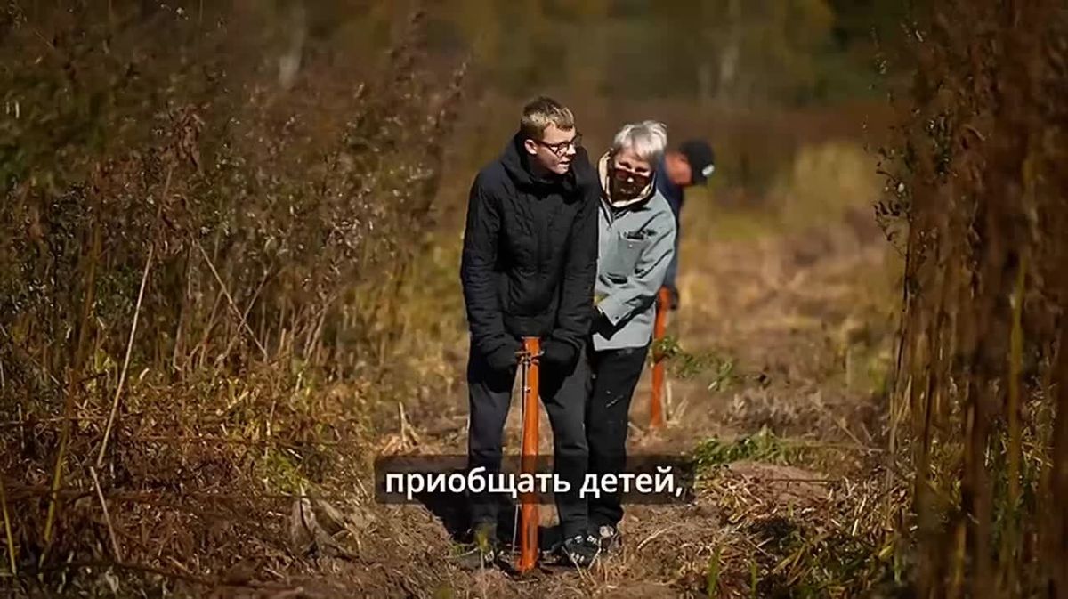 Рядом с Шахтёрском появится новый сосновый лес