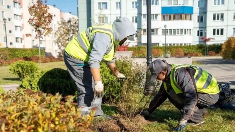 В Южно-Сахалинске этой осенью появится более 5000 новых насаждений В Южно-Сахалинске этой осенью появится более 5000 новых насаждений