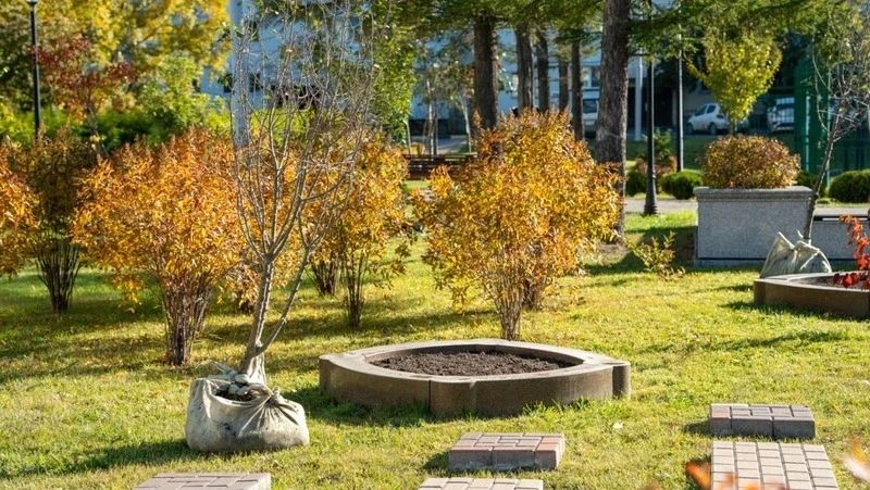 В Южно-Сахалинске этой осенью появится более 5000 новых насаждений В Южно-Сахалинске этой осенью появится более 5000 новых насаждений