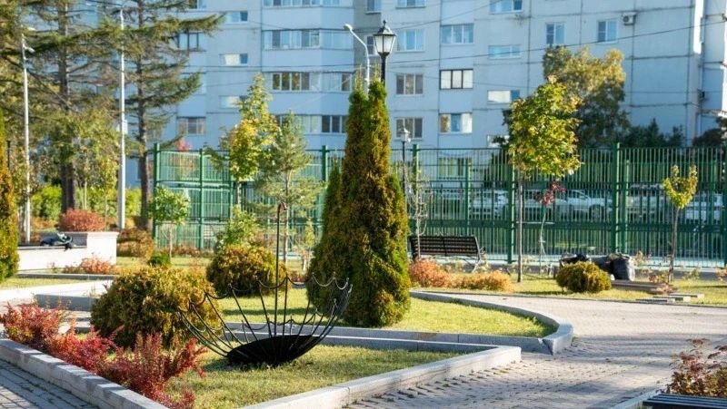 В Южно-Сахалинске этой осенью появится более 5000 новых насаждений