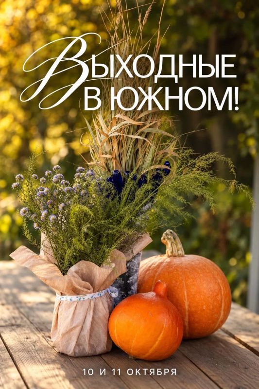 Семейные выходные в Южном: как провести субботу и воскресенье?